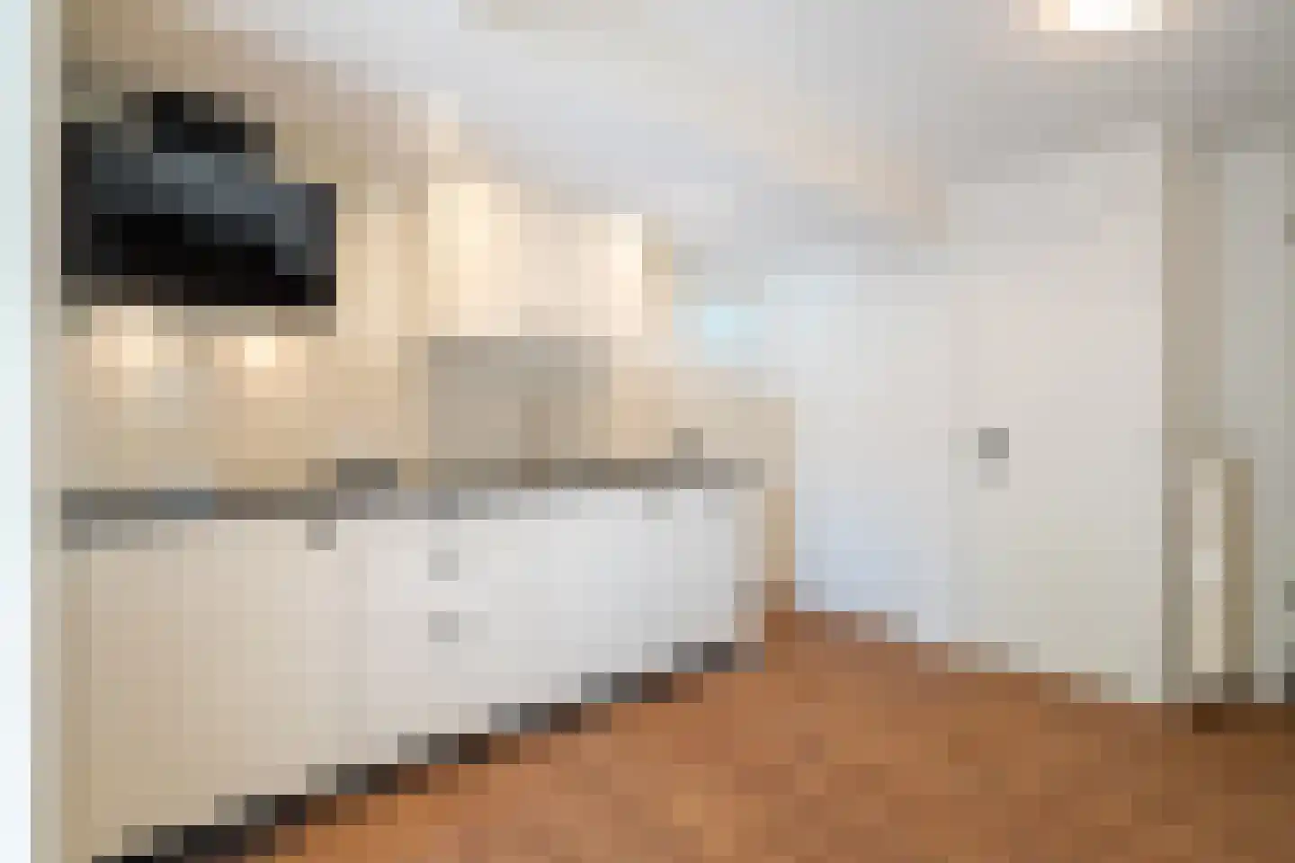 Delleweg 9 Middelstum thumbnail 22