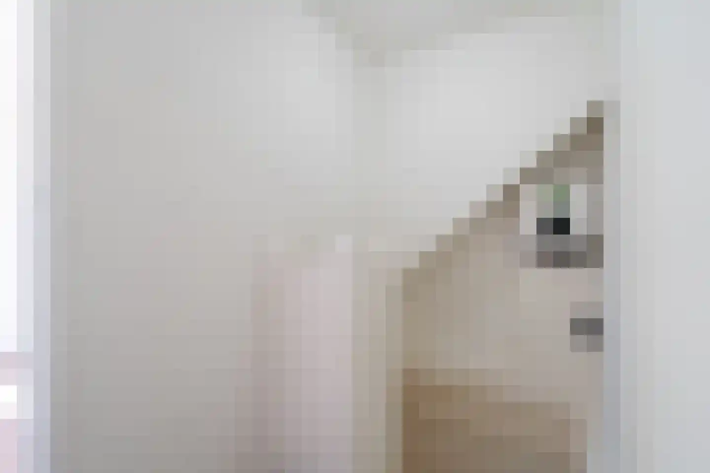 Delleweg 9 Middelstum thumbnail 36