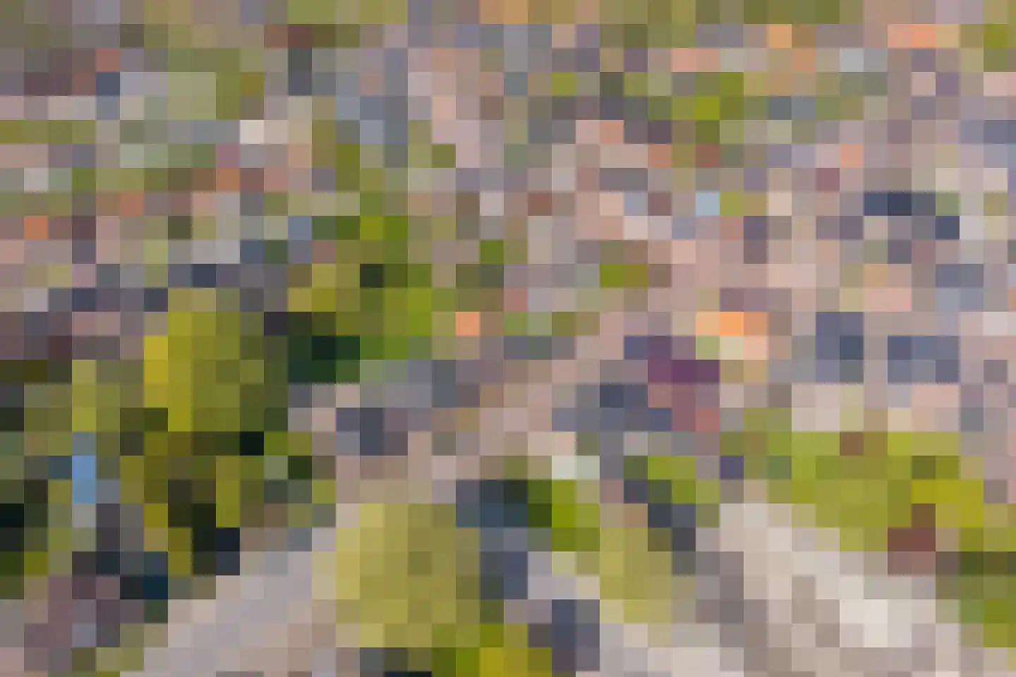 Delleweg 9 Middelstum thumbnail 55
