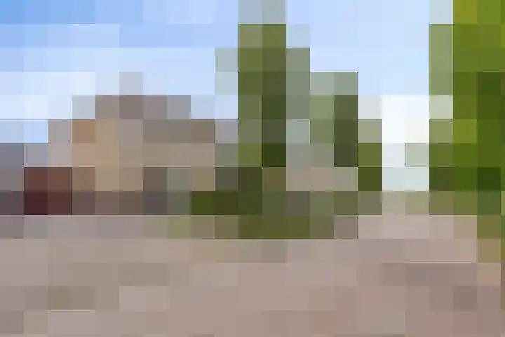 Delling 18 Gorredijk