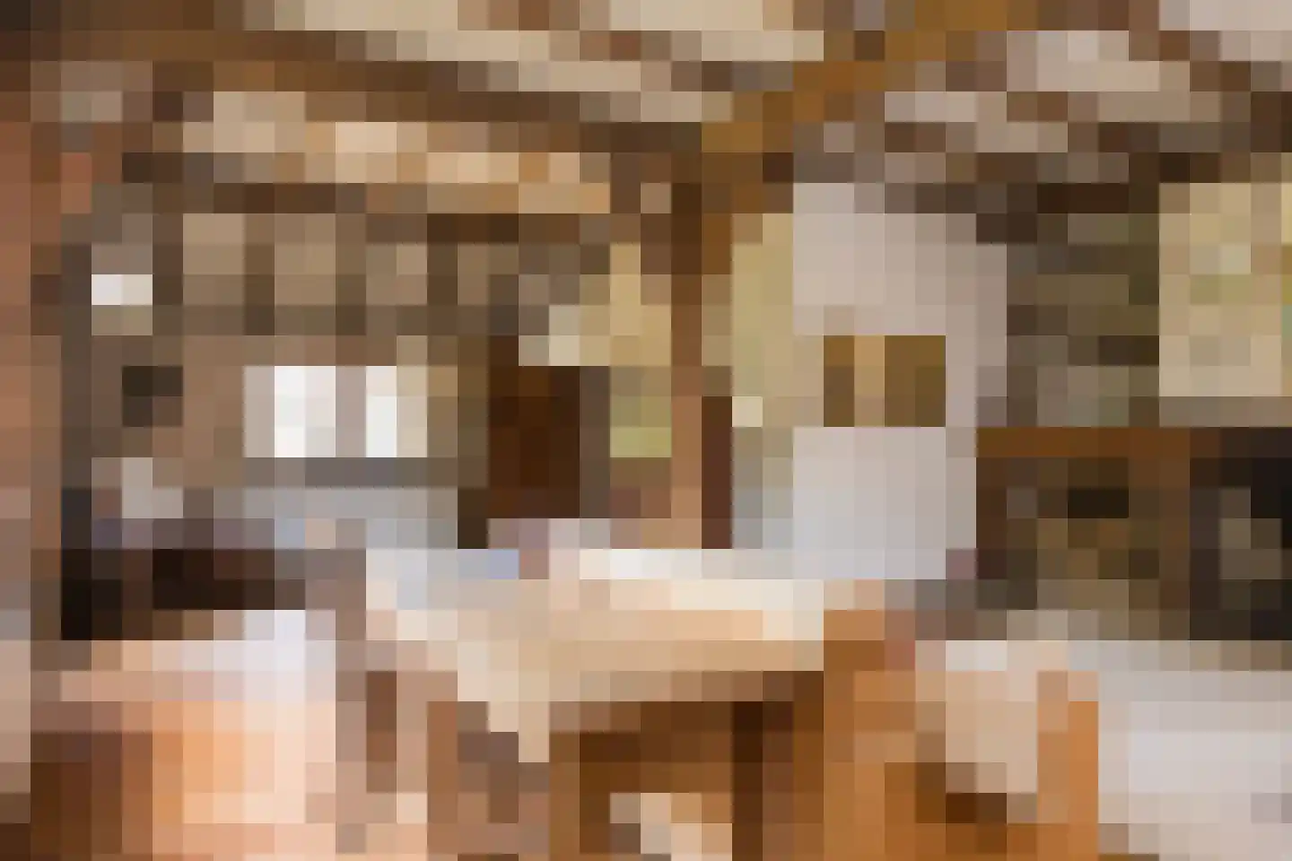 Delmaweg 18 Geesteren thumbnail 13