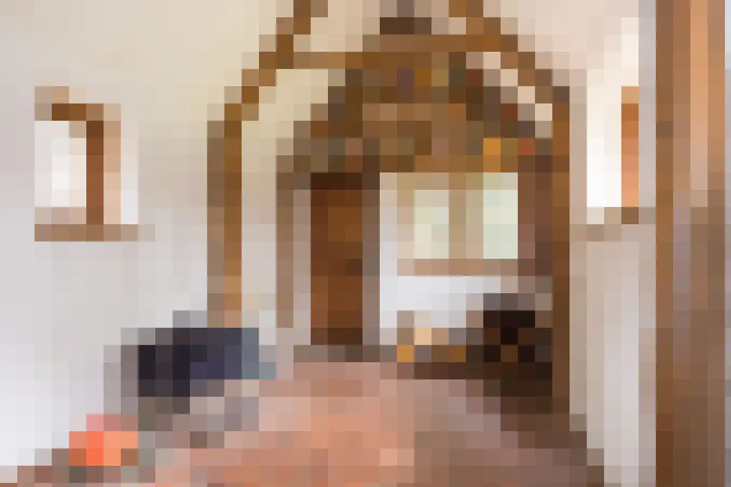 Delmaweg 18 Geesteren thumbnail 20
