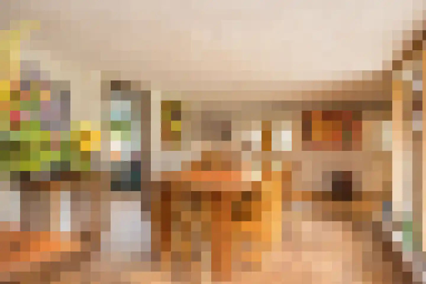 Delmaweg 18 Geesteren thumbnail 30