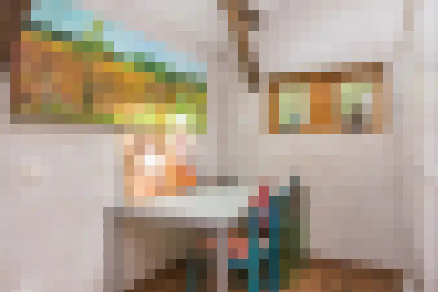 Delmaweg 18 Geesteren thumbnail 32
