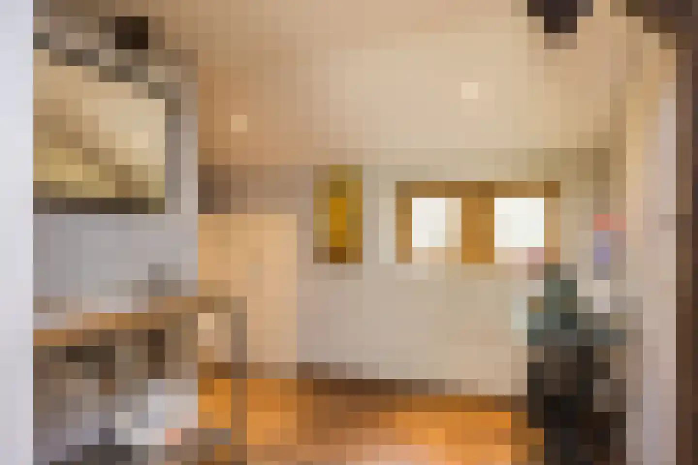 Delmaweg 18 Geesteren thumbnail 33