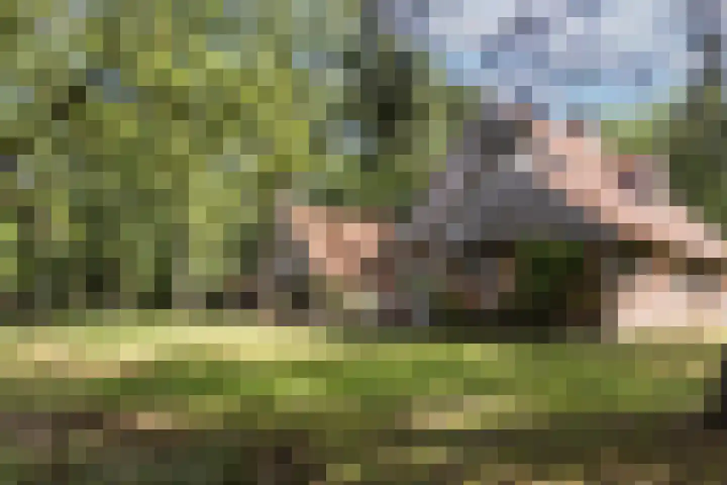 Delmaweg 18 Geesteren thumbnail 4