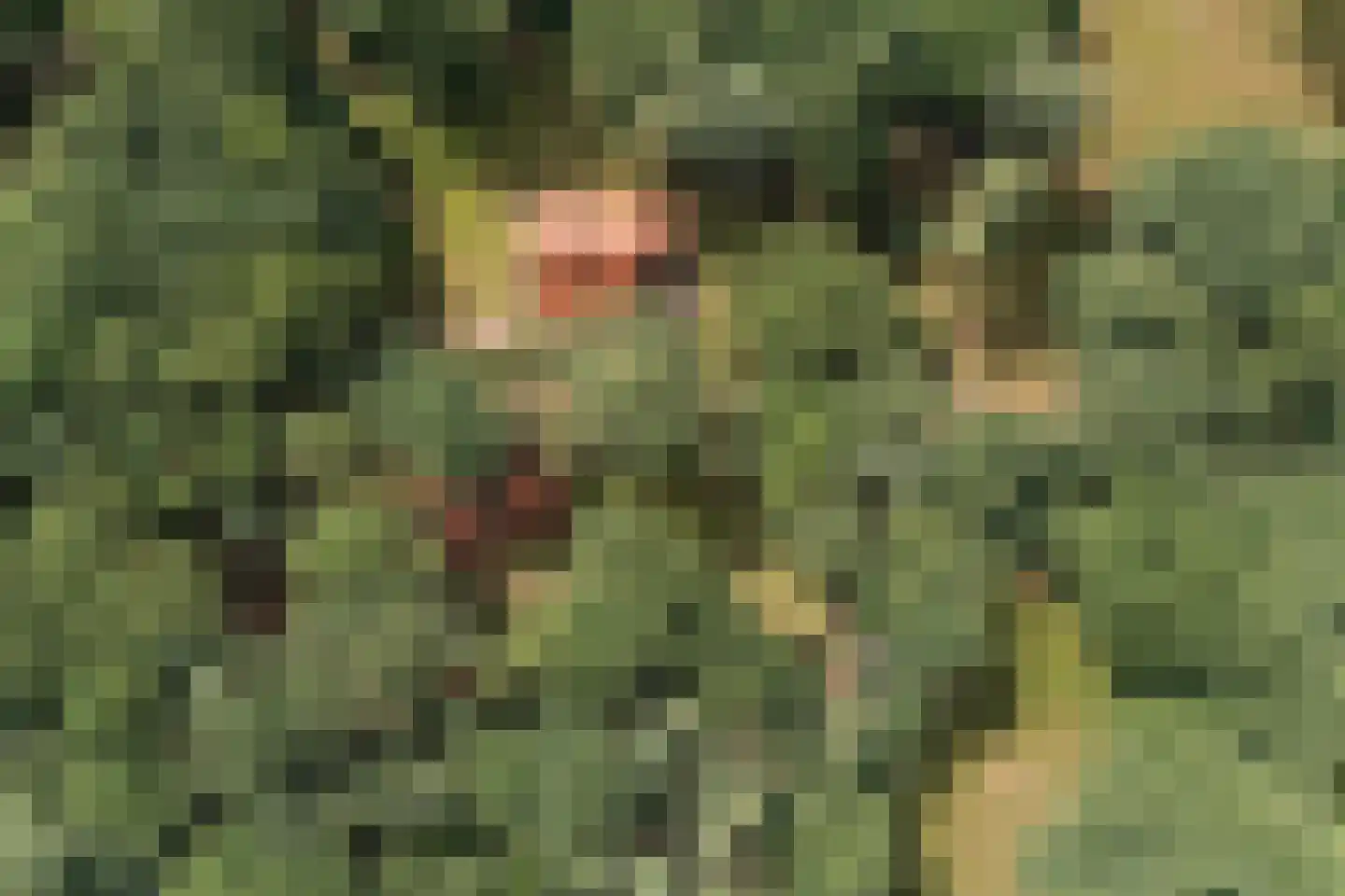 Delmaweg 18 Geesteren thumbnail 48