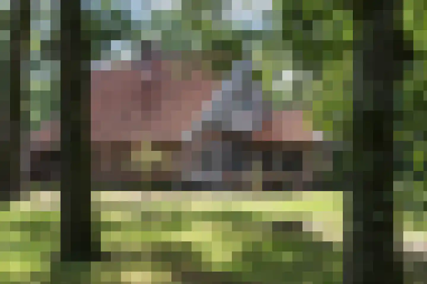 Delmaweg 18 Geesteren thumbnail 49