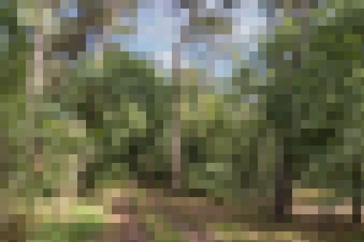 Delmaweg 18 Geesteren thumbnail 5