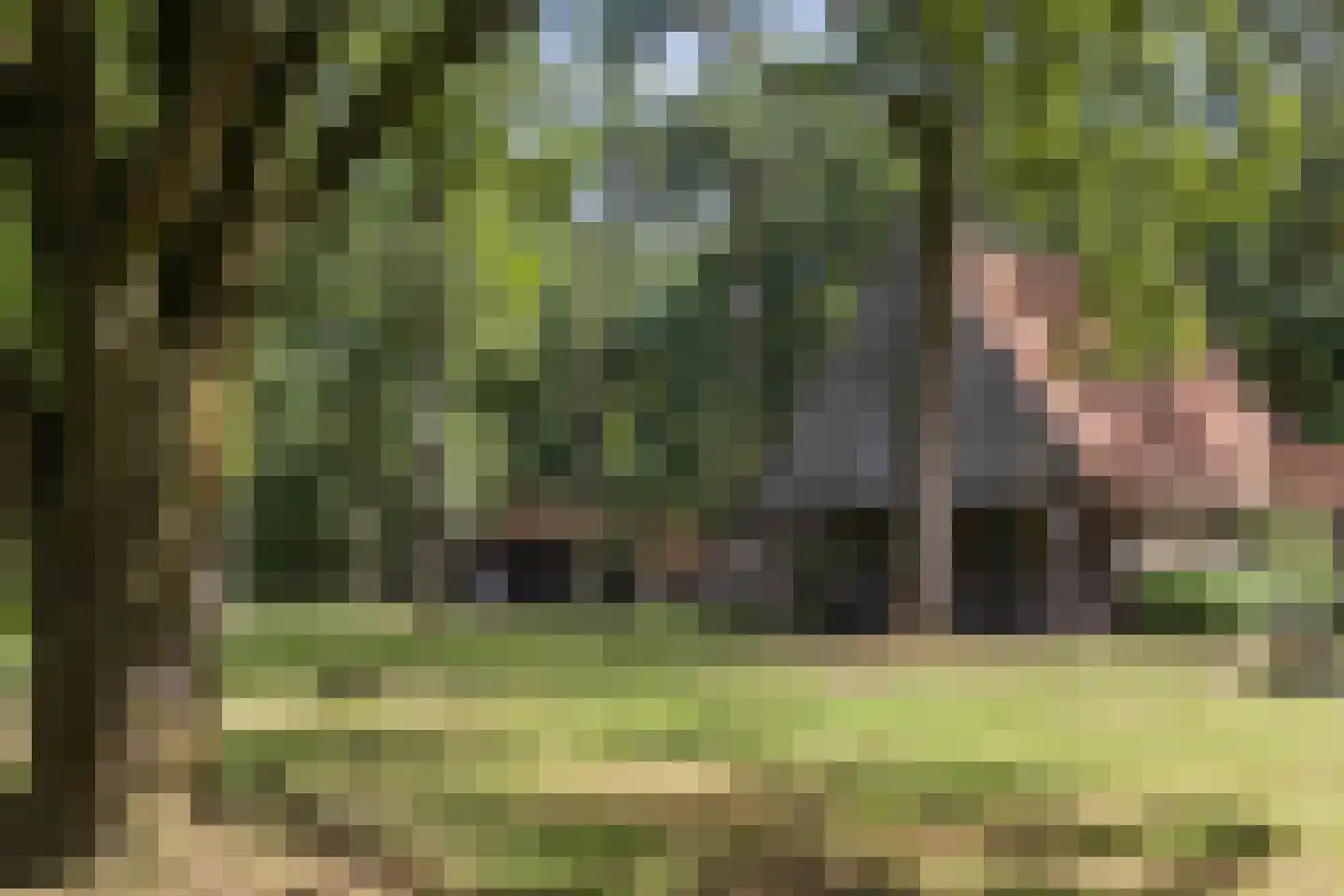 Delmaweg 18 Geesteren thumbnail 50