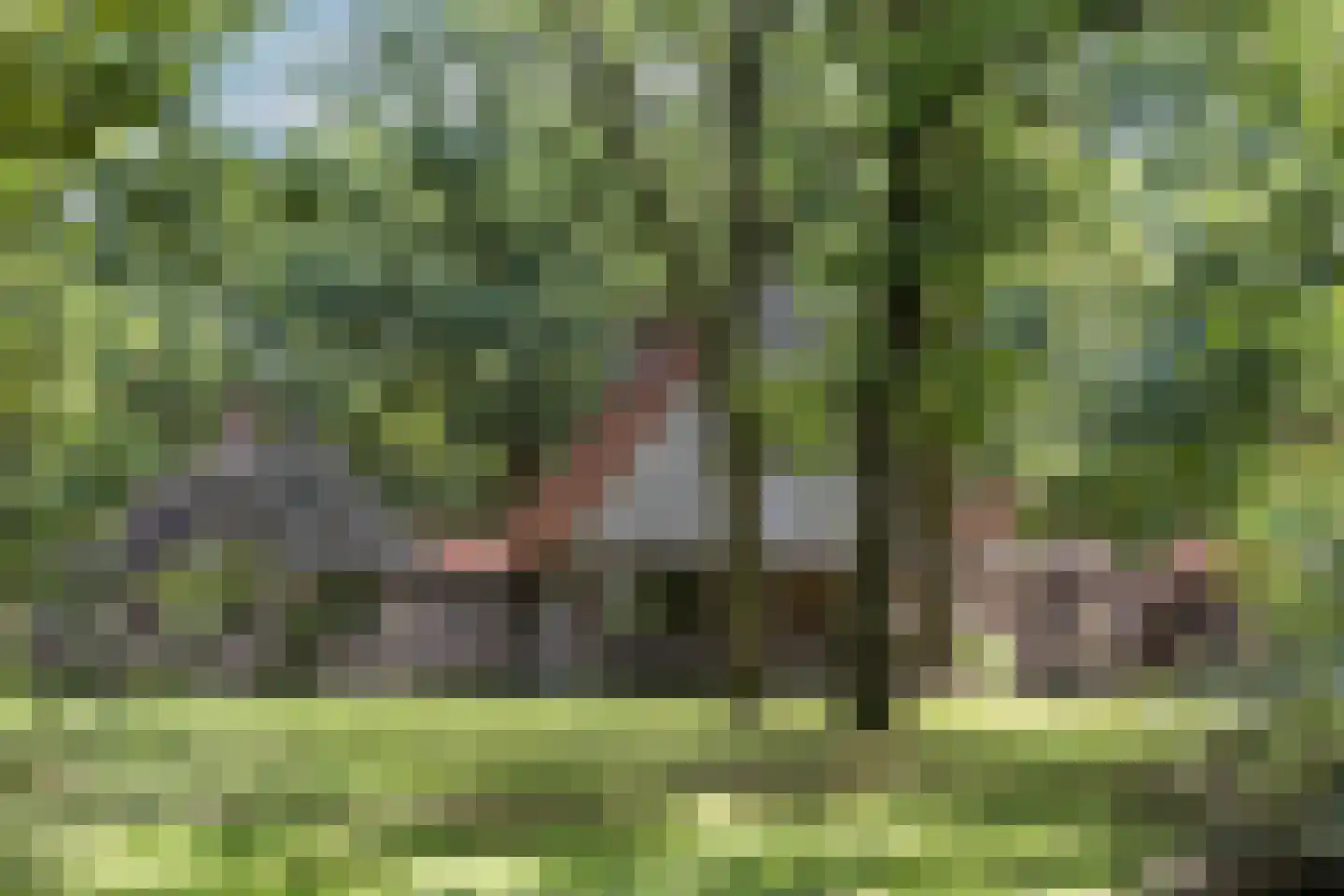 Delmaweg 18 Geesteren thumbnail 51