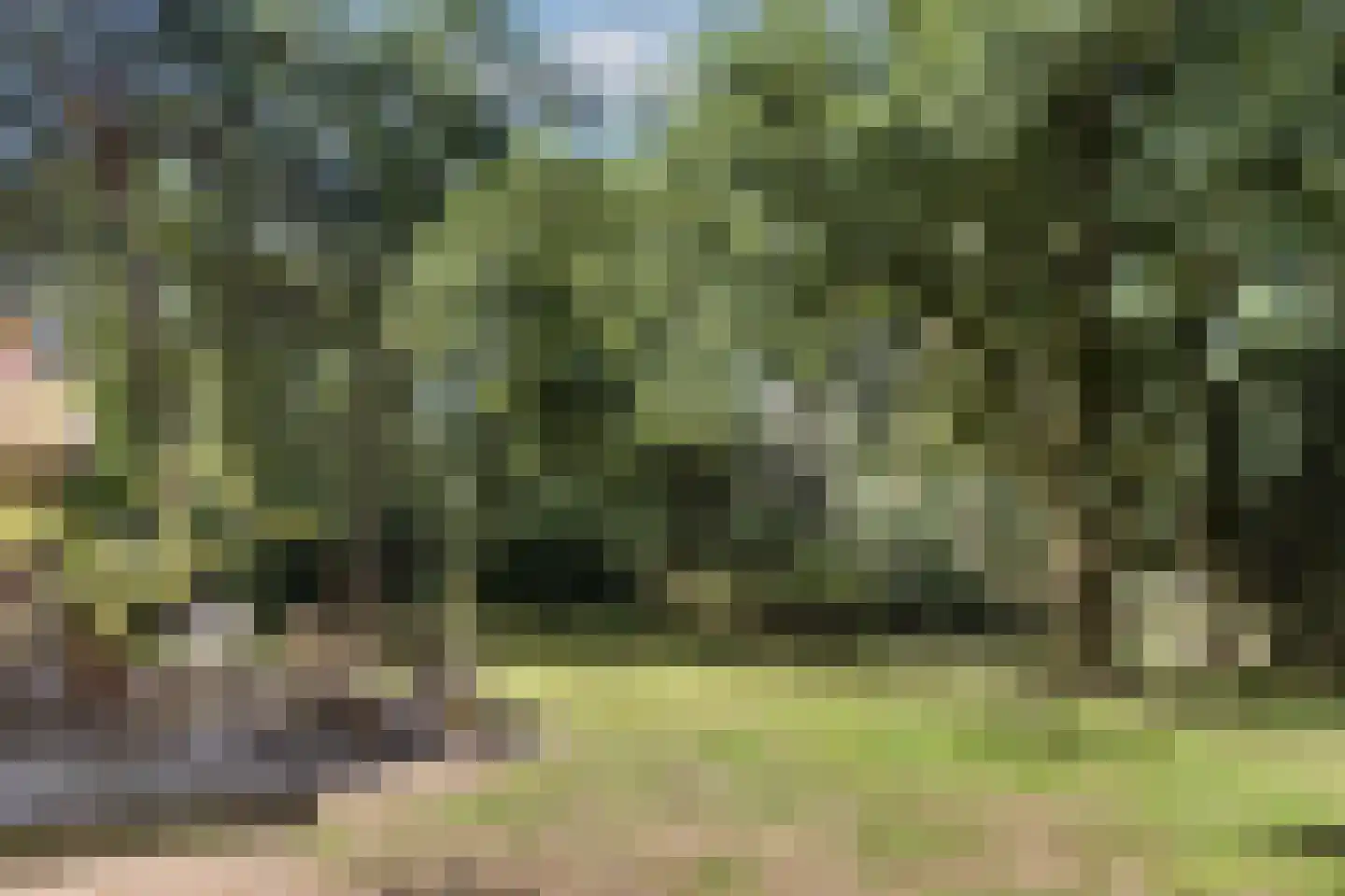 Delmaweg 18 Geesteren thumbnail 52