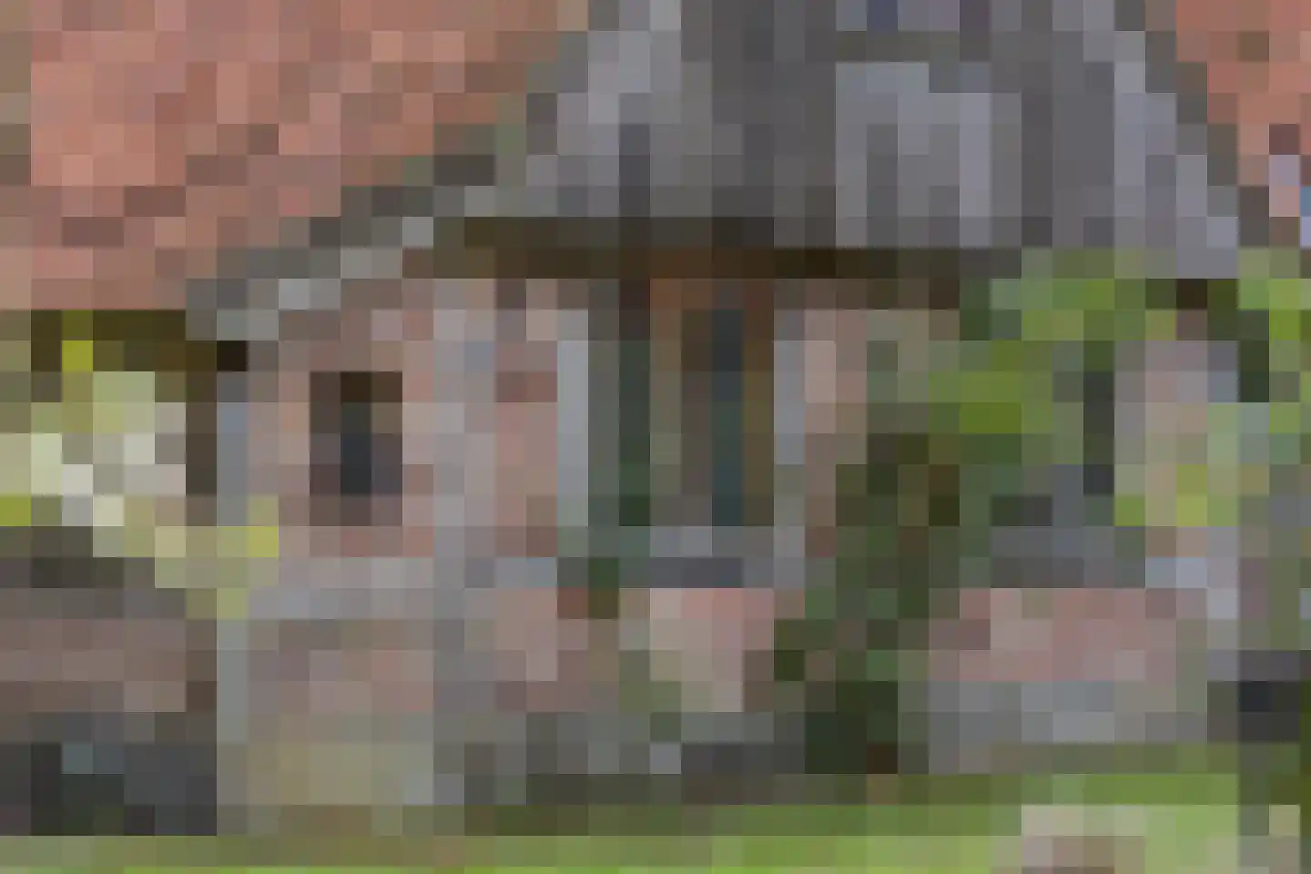 Delmaweg 18 Geesteren thumbnail 53