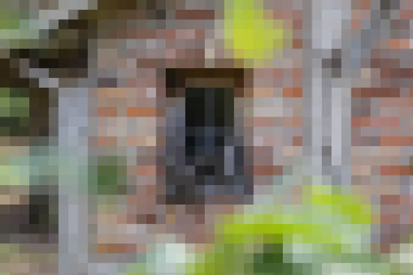 Delmaweg 18 Geesteren thumbnail 54