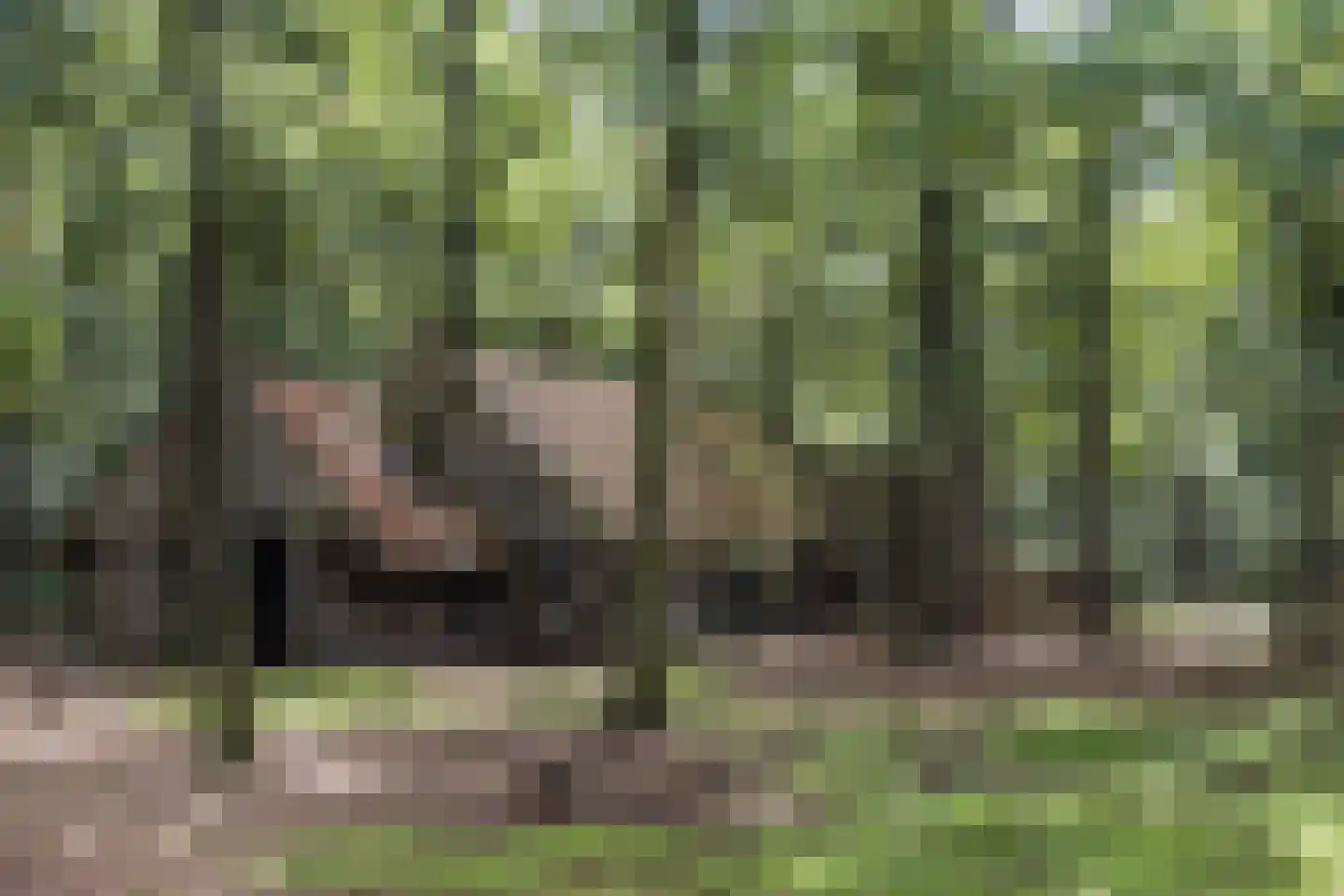 Delmaweg 18 Geesteren thumbnail 55