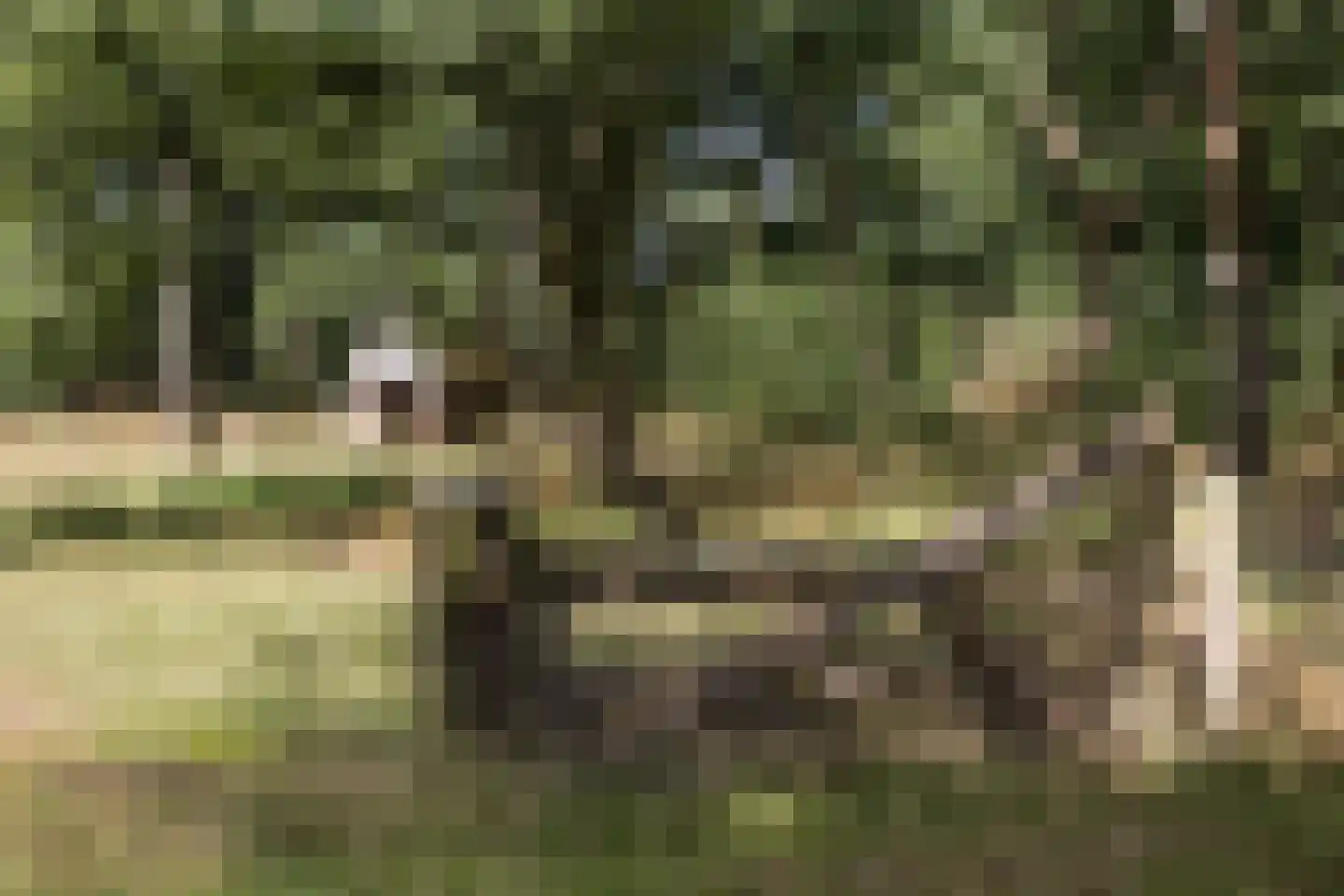 Delmaweg 18 Geesteren thumbnail 56