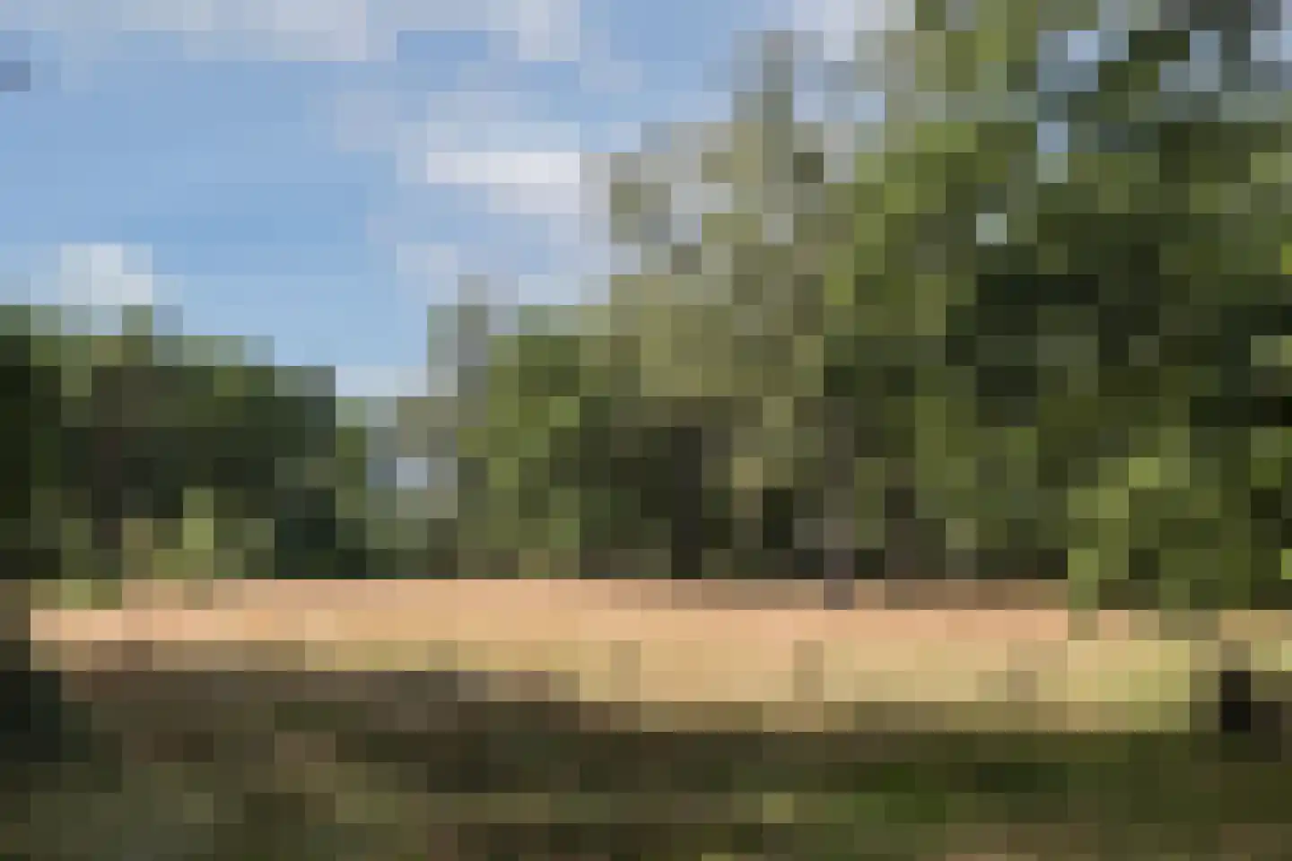 Delmaweg 18 Geesteren thumbnail 57