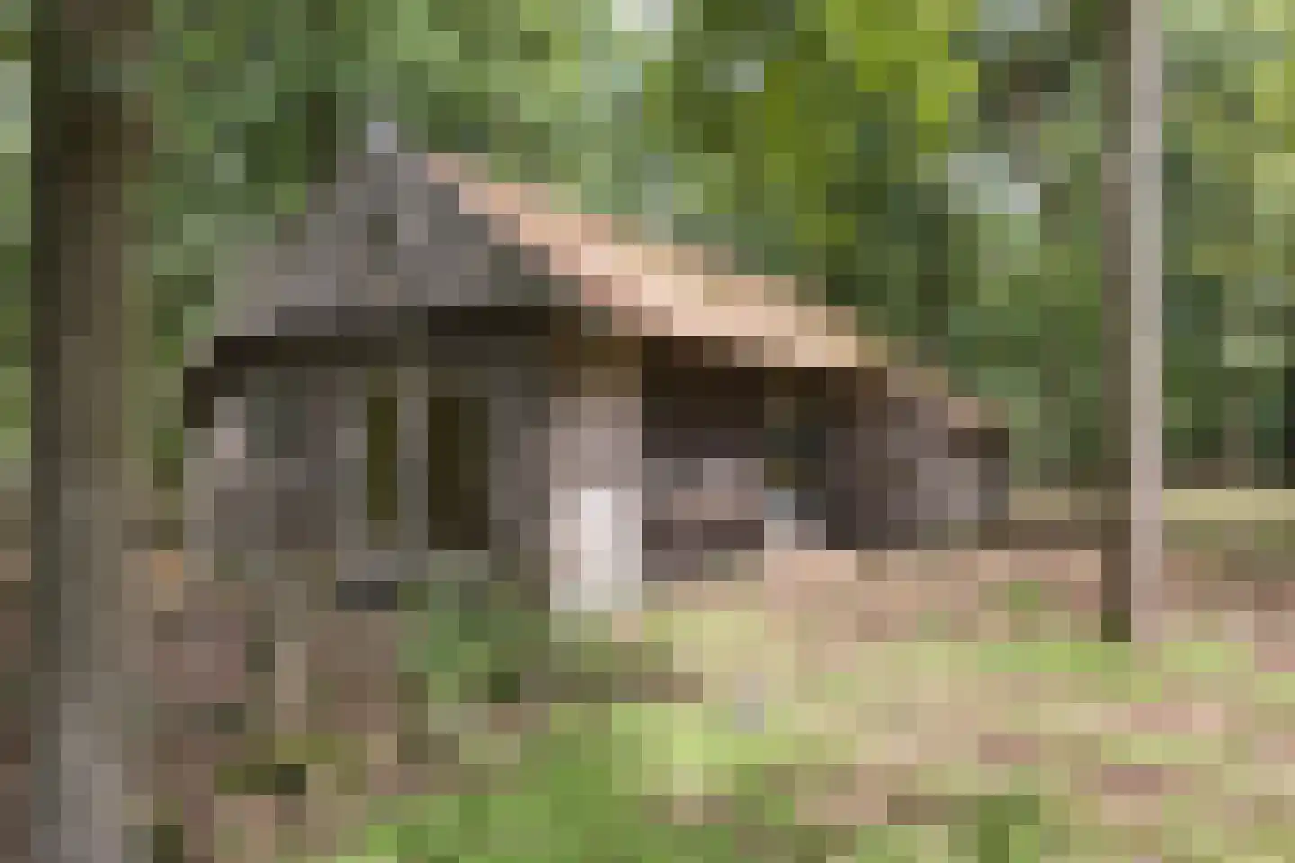 Delmaweg 18 Geesteren thumbnail 58