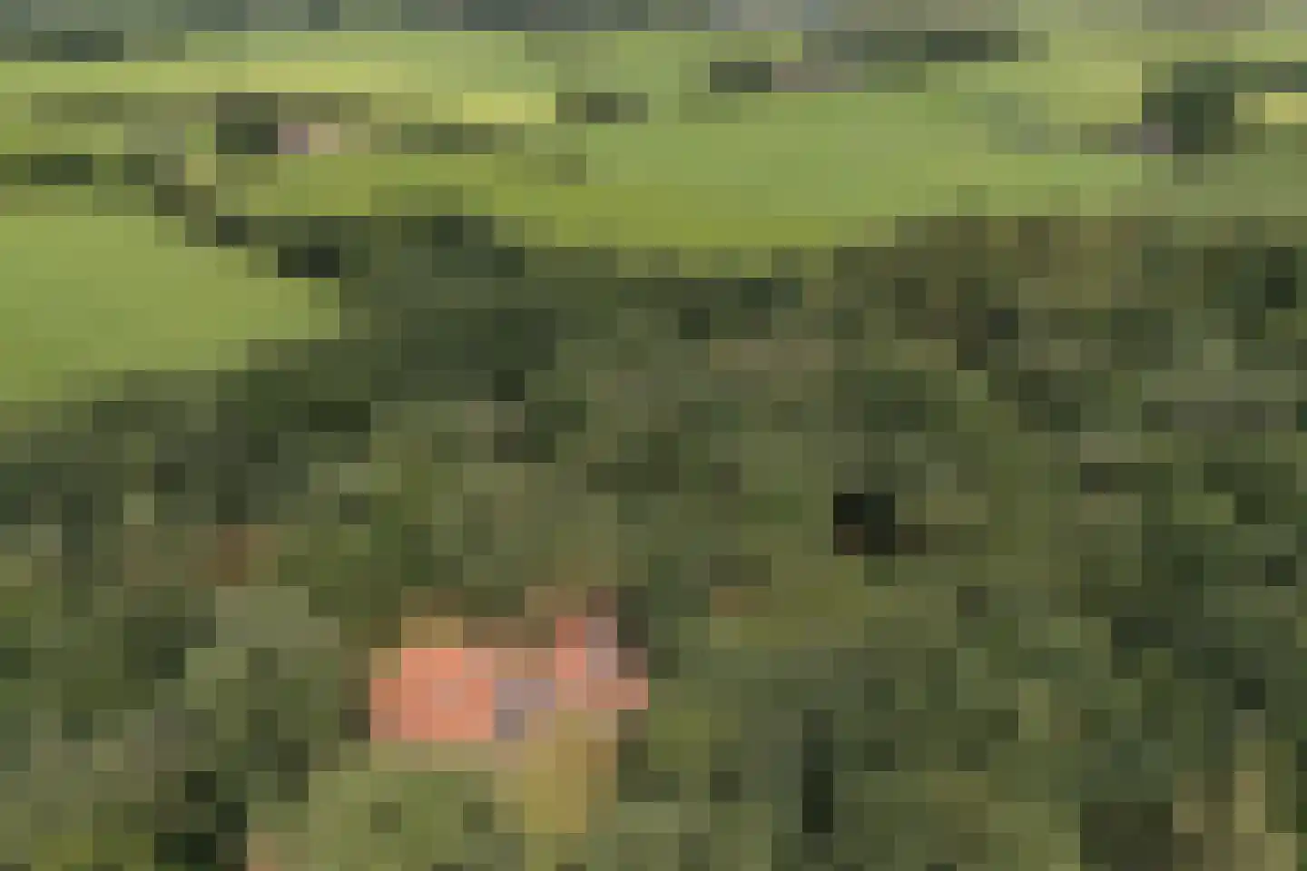 Delmaweg 18 Geesteren thumbnail 63