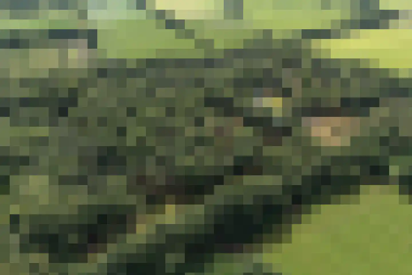 Delmaweg 18 Geesteren thumbnail 64