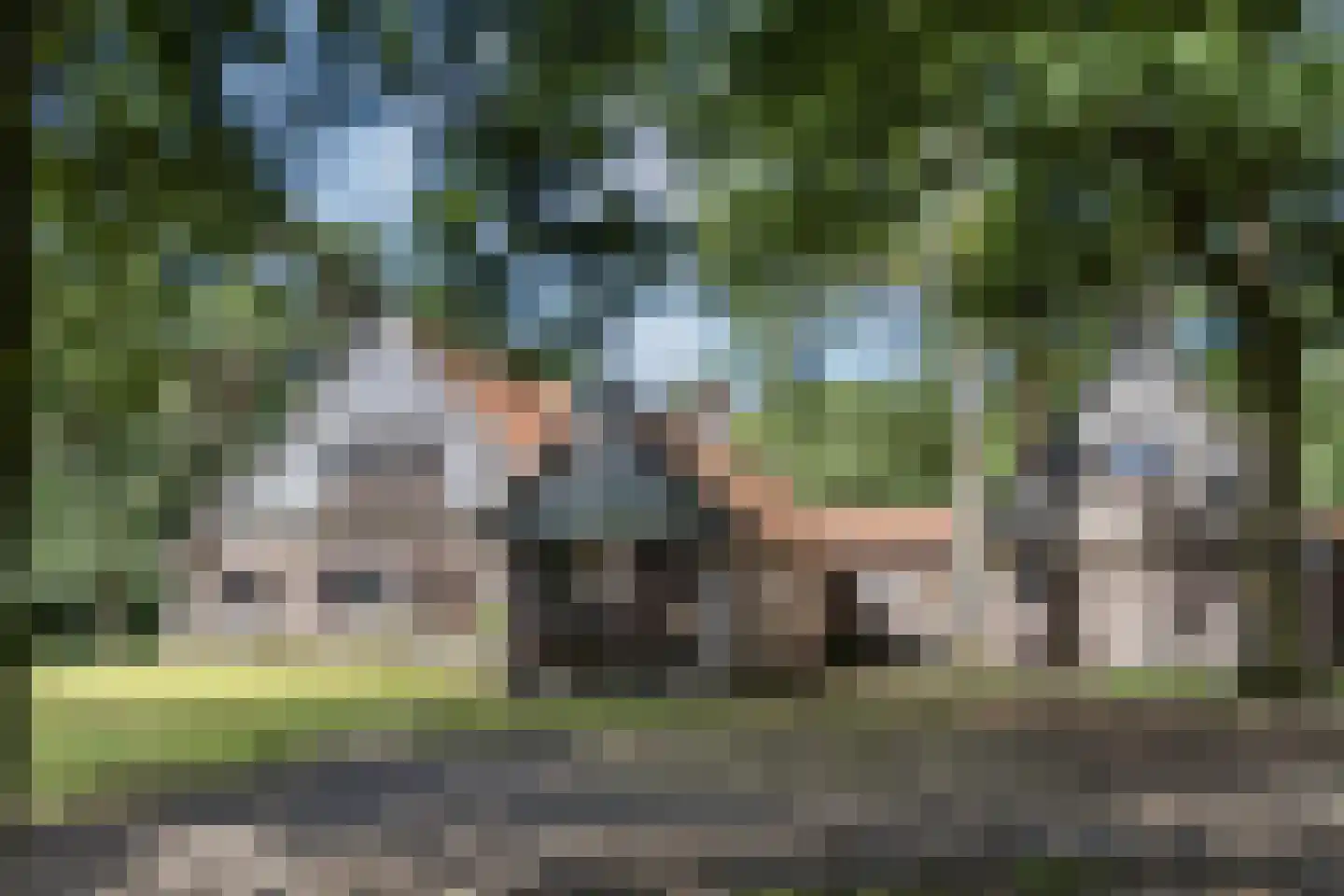 Delmaweg 18 Geesteren thumbnail 7