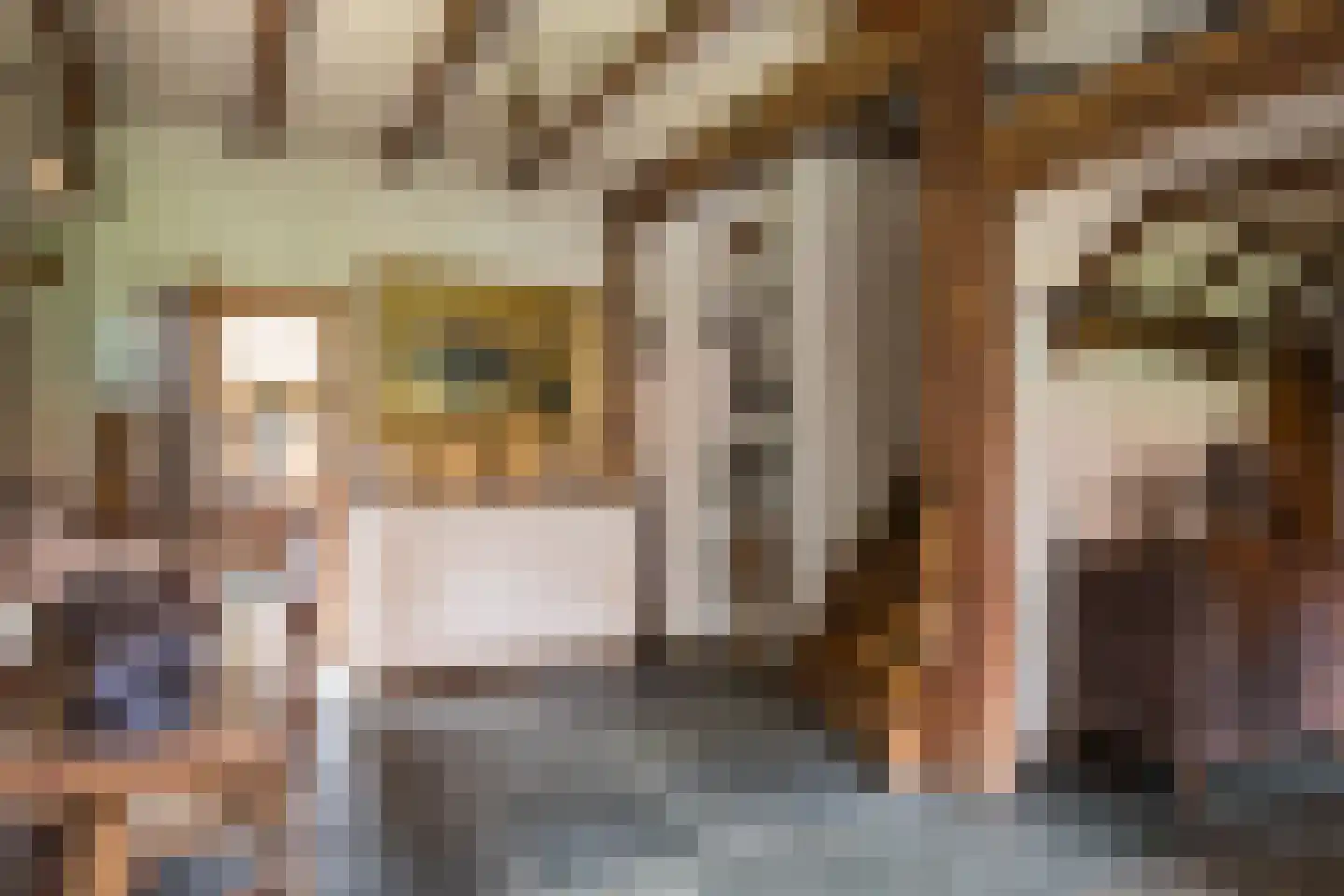 Delmaweg 18 Geesteren thumbnail 9