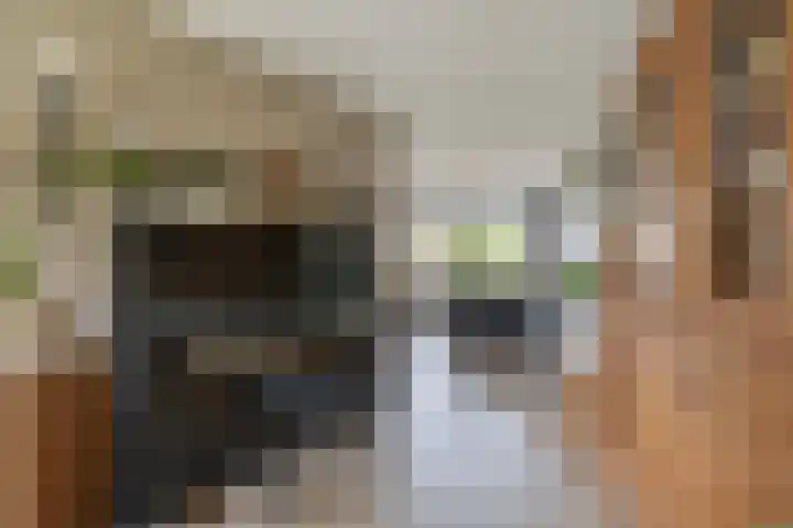 Delmer 16 Vledder thumbnail 10