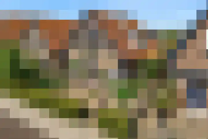 Delmer 16 Vledder thumbnail 20