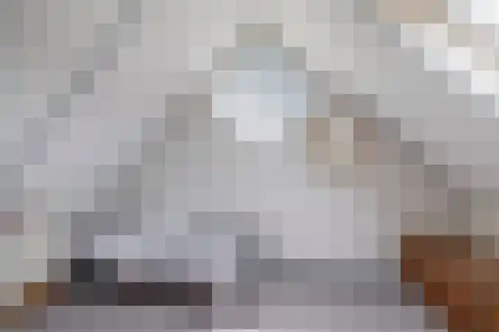 Delmer 16 Vledder thumbnail 31