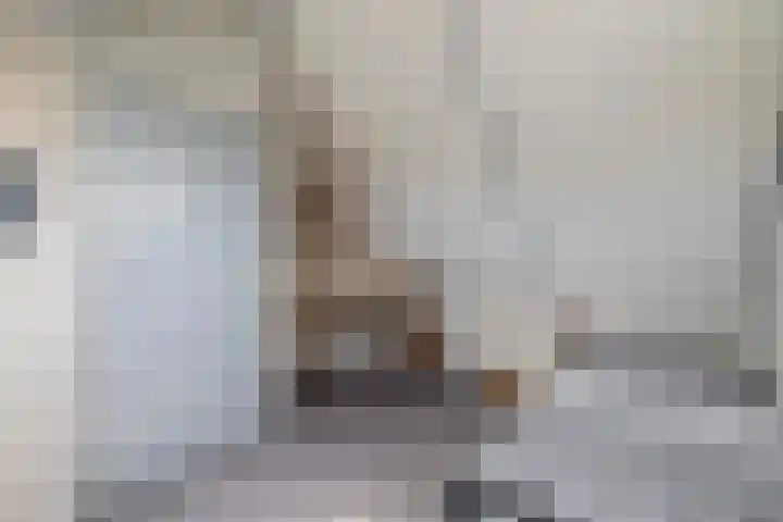 Delmer 16 Vledder thumbnail 32
