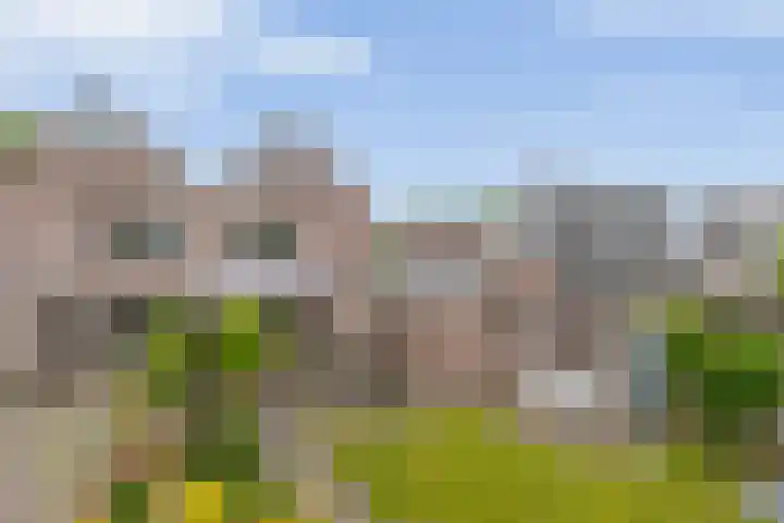 Delmer 16 Vledder thumbnail 33