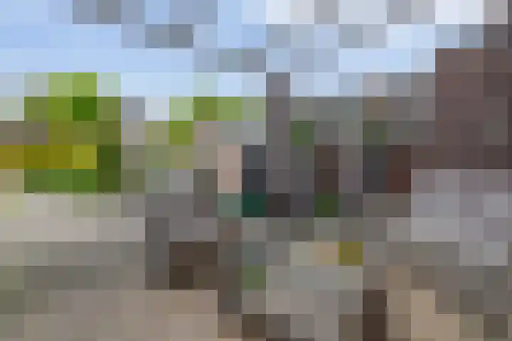 Delmer 16 Vledder thumbnail 36