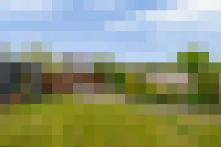 Delmer 16 Vledder thumbnail 38