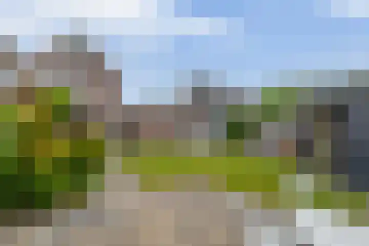 Delmer 16 Vledder thumbnail 40