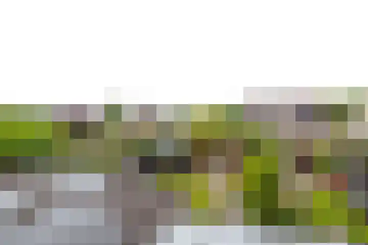 Delmer 16 Vledder thumbnail 42