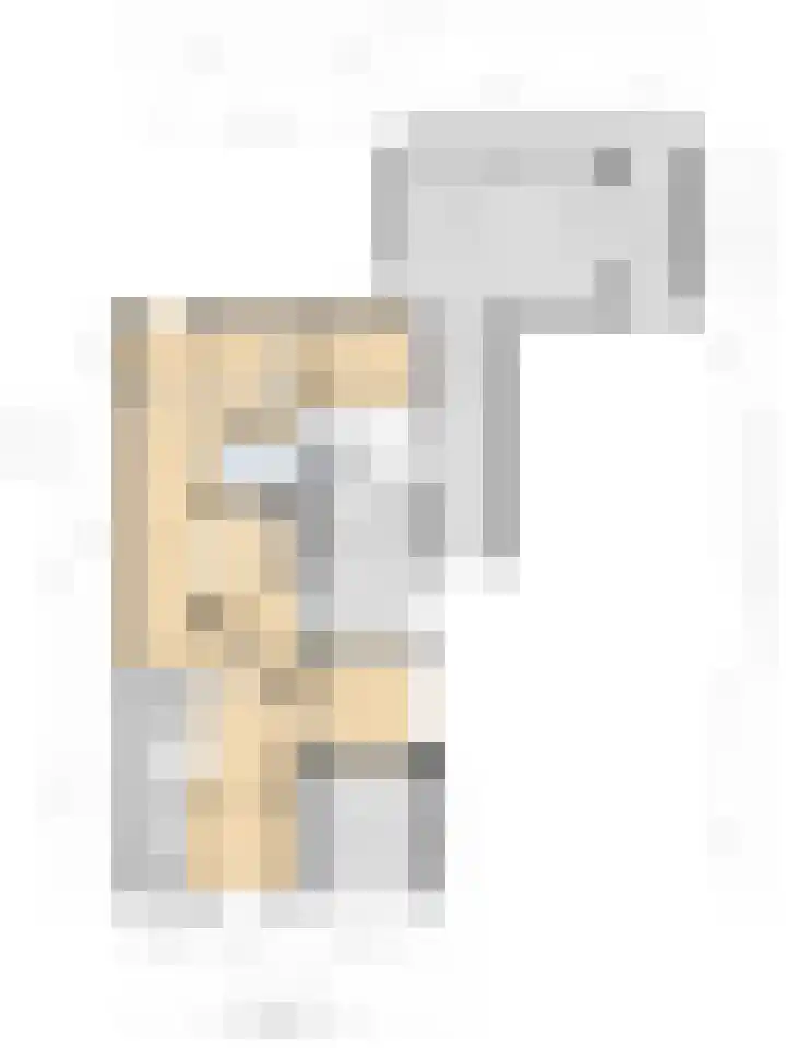 Delmer 16 Vledder thumbnail 47