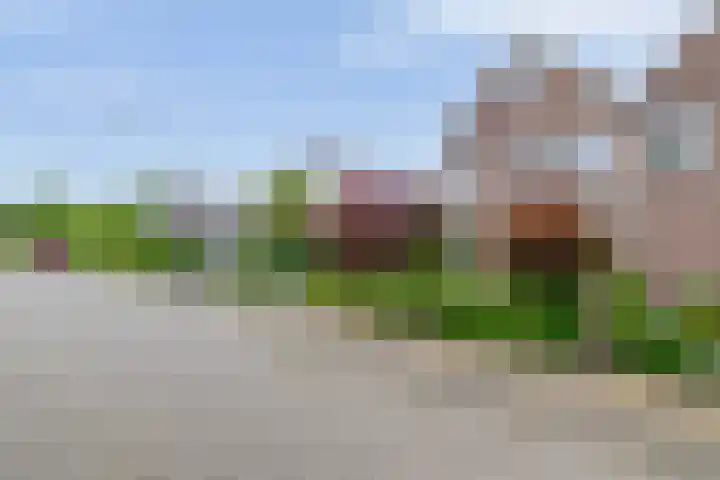 Delmer 16 Vledder thumbnail 49