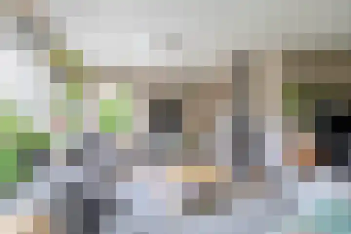 Delmer 16 Vledder thumbnail 5