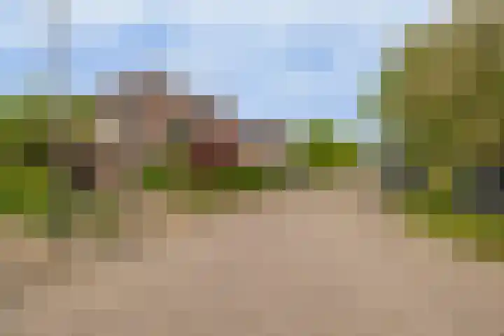 Delmer 16 Vledder thumbnail 50