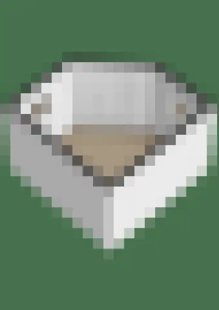 Delmer 16 Vledder thumbnail 59
