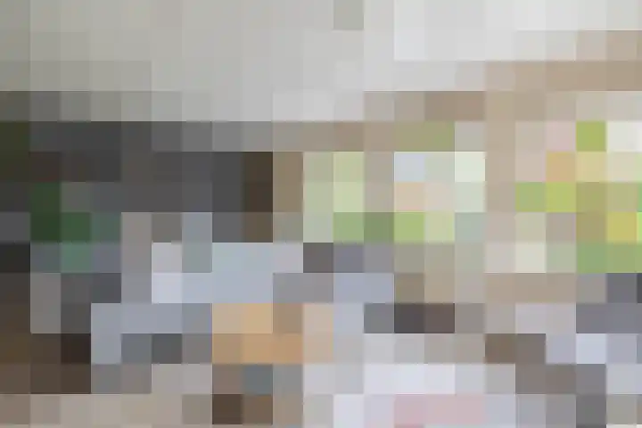 Delmer 16 Vledder thumbnail 6