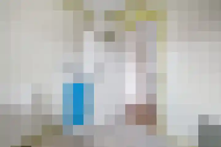 Delmer 16 Vledder thumbnail 7
