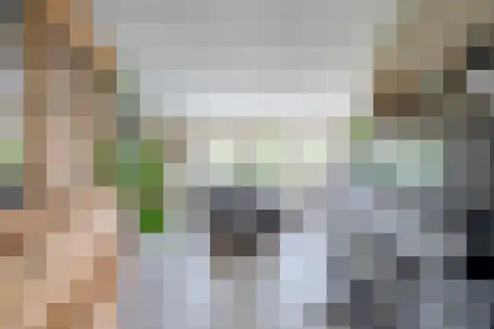 Delmer 16 Vledder thumbnail 8