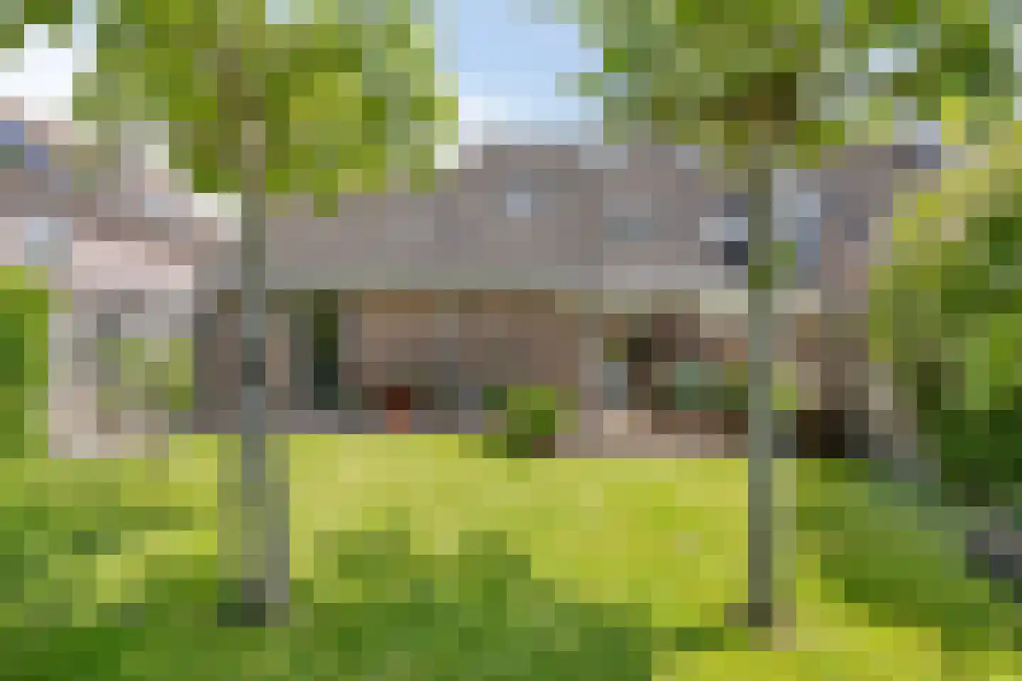 Delmer 18 Vledder