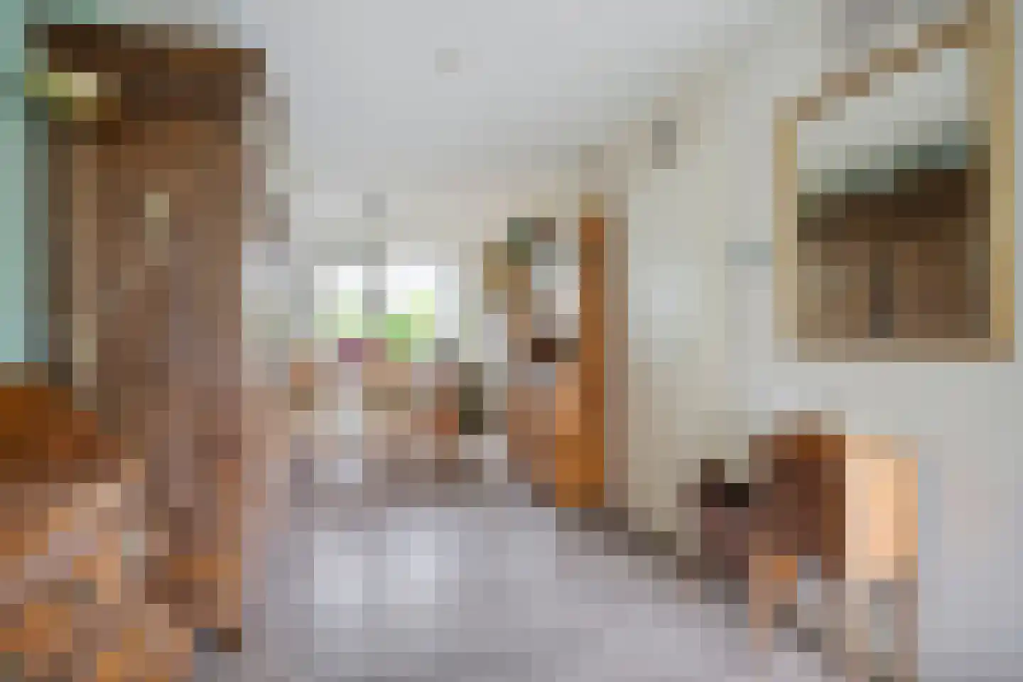 Delmer 18 Vledder thumbnail 11