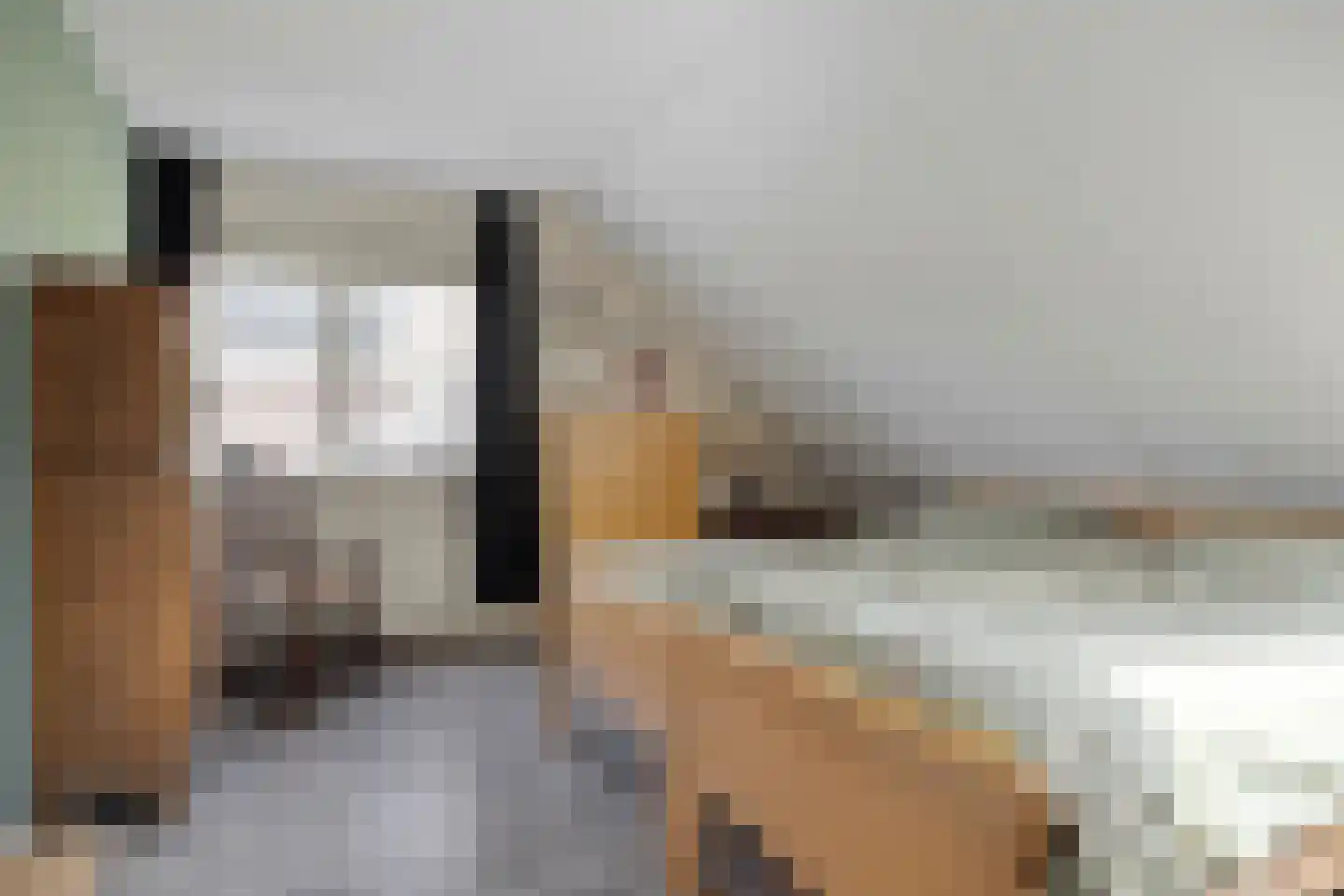 Delmer 18 Vledder thumbnail 20