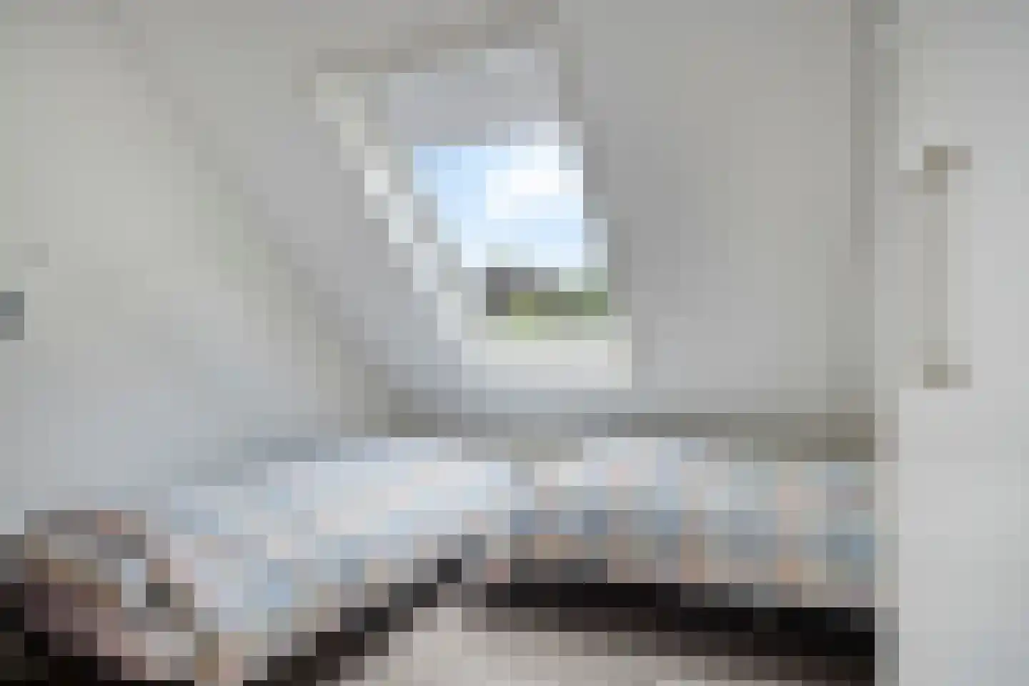 Delmer 18 Vledder thumbnail 24