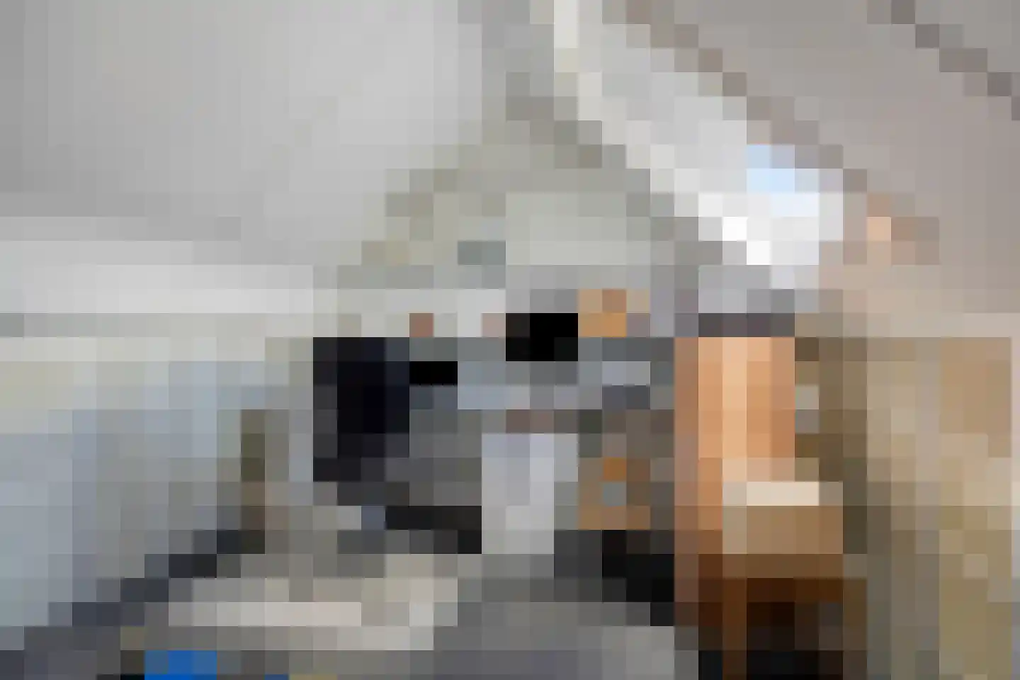 Delmer 18 Vledder thumbnail 28