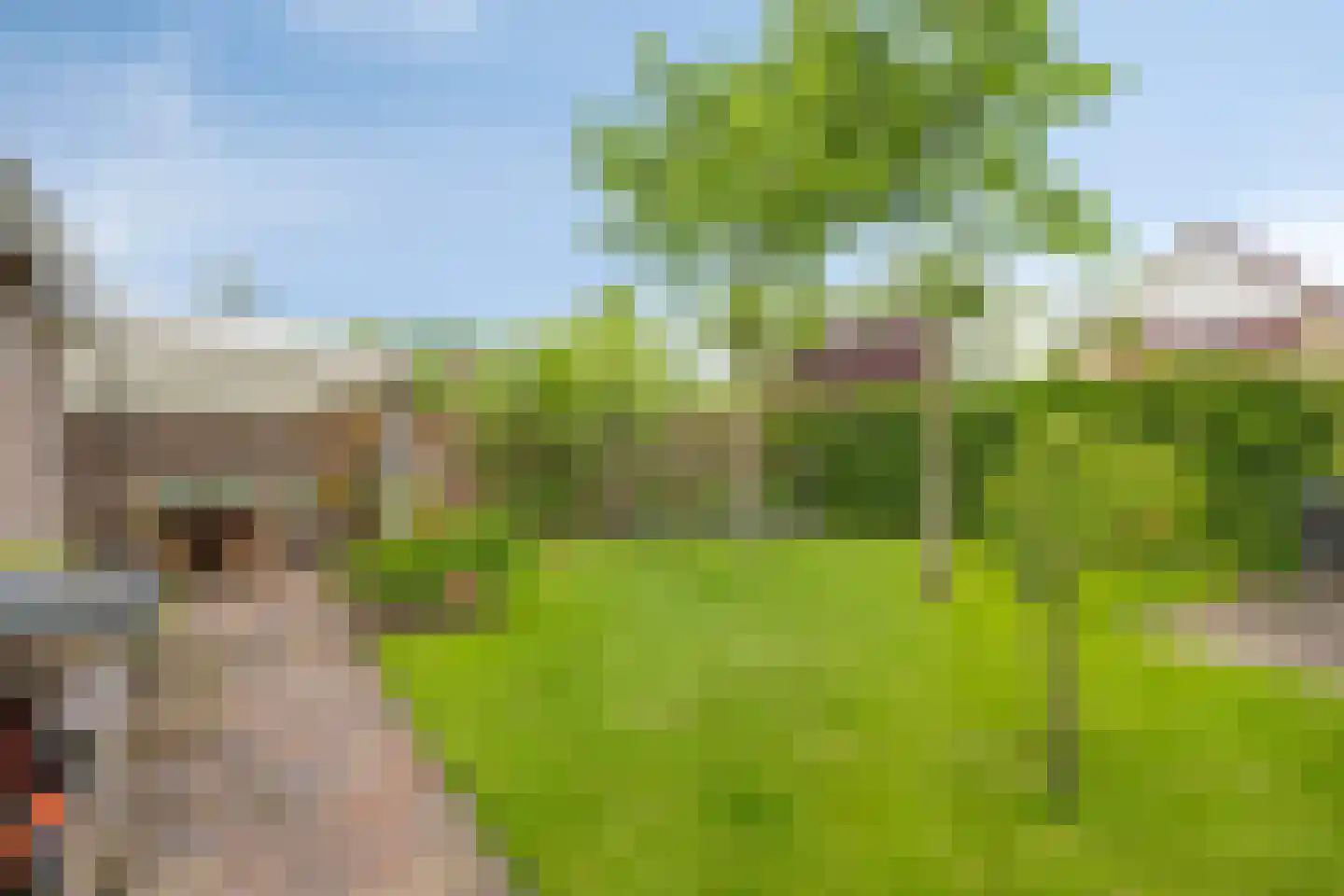 Delmer 18 Vledder thumbnail 36