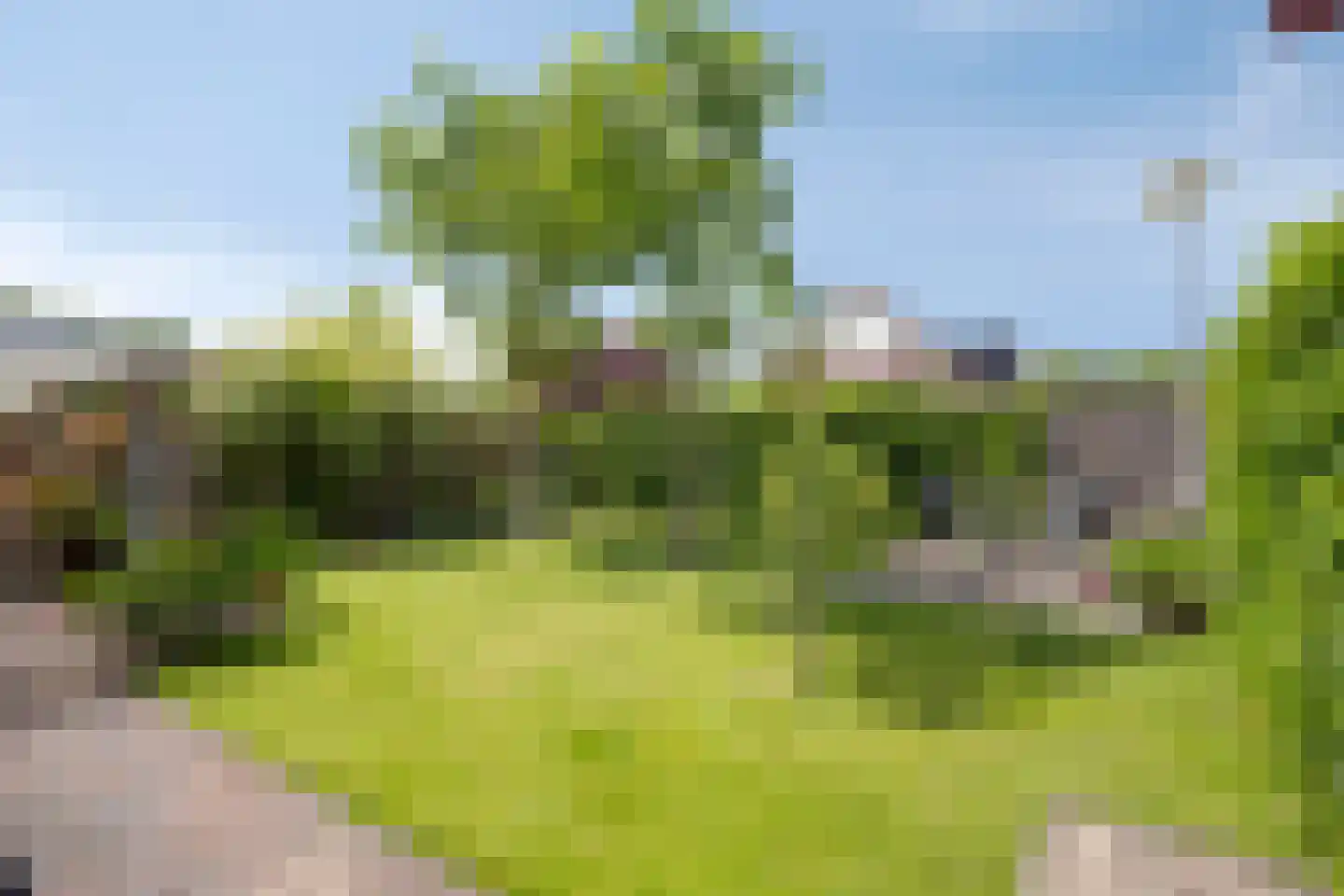 Delmer 18 Vledder thumbnail 39